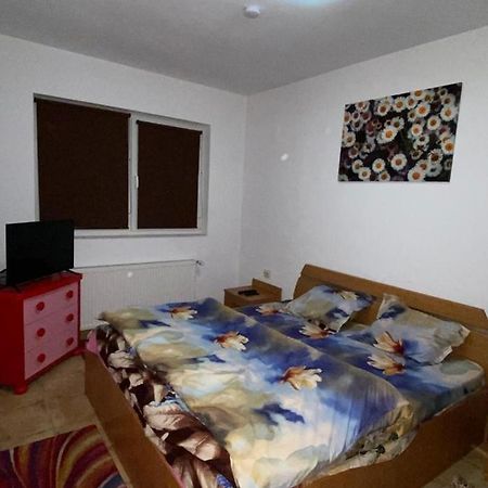 Apartament Cochet Apartment Bucharest Exterior photo